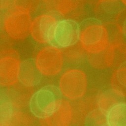 Bokeh-447